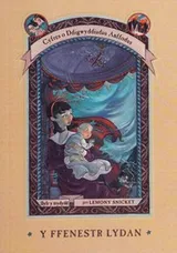 Cover of Y Ffenestr Lydan