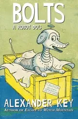 Cover of Bolts, a robot dog