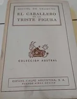 Cover of El caballero de la triste figura