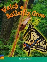 Cover of Watch a butterfly grow