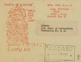 Cover of "Potful of sunshine"