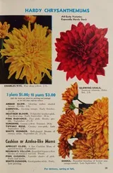 Cover of Tulips, hyacinths, daffodils to plant this fall 1949