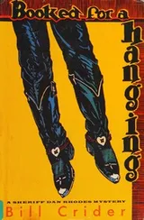Cover of Booked for a hanging