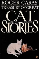 Cover of Roger Caras' Treasury of Great Cat Stories