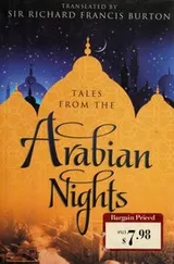 Cover of Tales from the Arabian nights [21 stories]