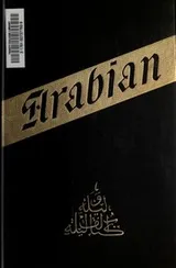 Cover of A plain and literal translation of the Arabian nights entertainments now entituled The book of the thousand nights and a night [3/10]
