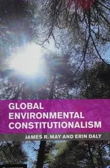Cover of Global Environmental Constitutionalism