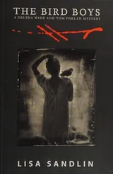 Cover of The Bird Boys