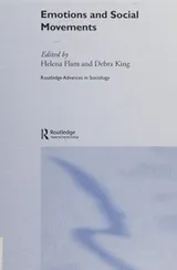 Cover of Emotions and Social Movements