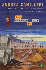 Cover of The pyramid of mud