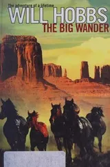 Cover of Big Wander