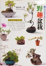Cover of Ye qu pen zai