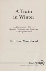 Cover of A Train in Winter