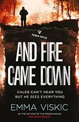 Cover of And Fire Came Down