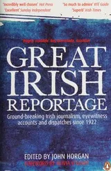 Cover of Great Irish Reportage