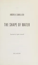 Cover of The shape of water