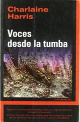 Cover of Voces desde la tumba