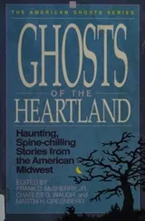Cover of Ghosts of the heartland