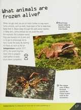 Cover of Animal mysteries revealed