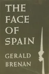 Cover of The Face of Spain