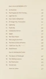 Cover of Eighty Days of Sunlight