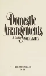 Cover of Domestic Arrangements