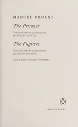 Cover of The prisoner