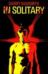 Cover of In solitary