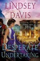 Cover of Desperate Undertaking