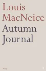 Cover of Autumn journal