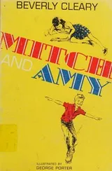 Cover of Mitch and Amy