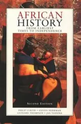 Cover of African history