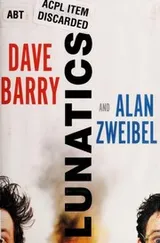 Cover of Lunatics