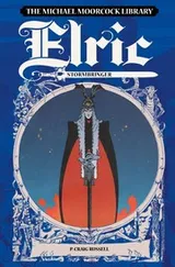 Cover of Elric Stormbringer