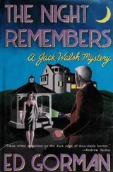 Cover of The night remembers