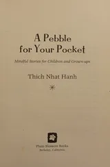 Cover of A pebble for your pocket