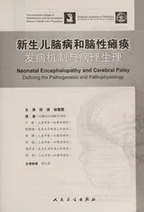 Cover of Xin sheng er nao bing he nao xing tan huan fa bing ji zhi yu bing li sheng li