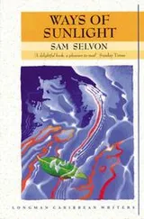 Cover of Ways of Sunlight