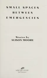 Cover of Small spaces between emergencies