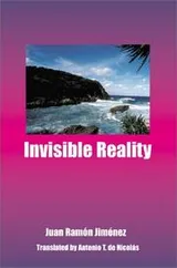 Cover of Invisible Reality (1917-1920, 1924)