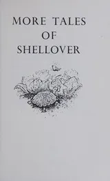 Cover of The Phantom Fisherboy