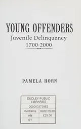 Cover of Young Offenders