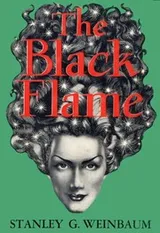 Cover of The black flame
