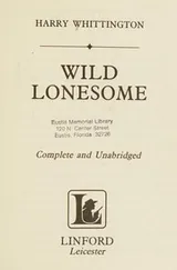 Cover of Wild Lonesome