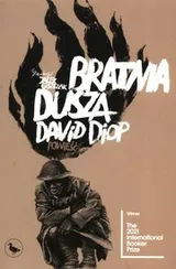 Cover of Bratnia dusza