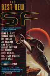Cover of Best New SF