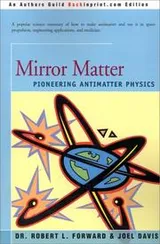 Cover of Mirror Matter