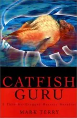 Cover of Catfish Guru