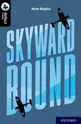 Cover of Skyward Bound, Level 20