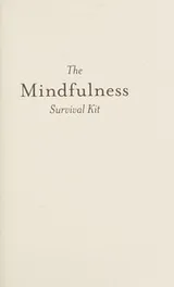 Cover of Mindfulness Survival Kit
